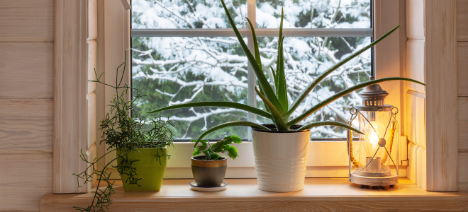 🌿 Happy Houseplants &amp; Veggie Tricks for Winter!- mailchi.mp/ngb.org/housep… Discover must-have garden tools and more for the season.