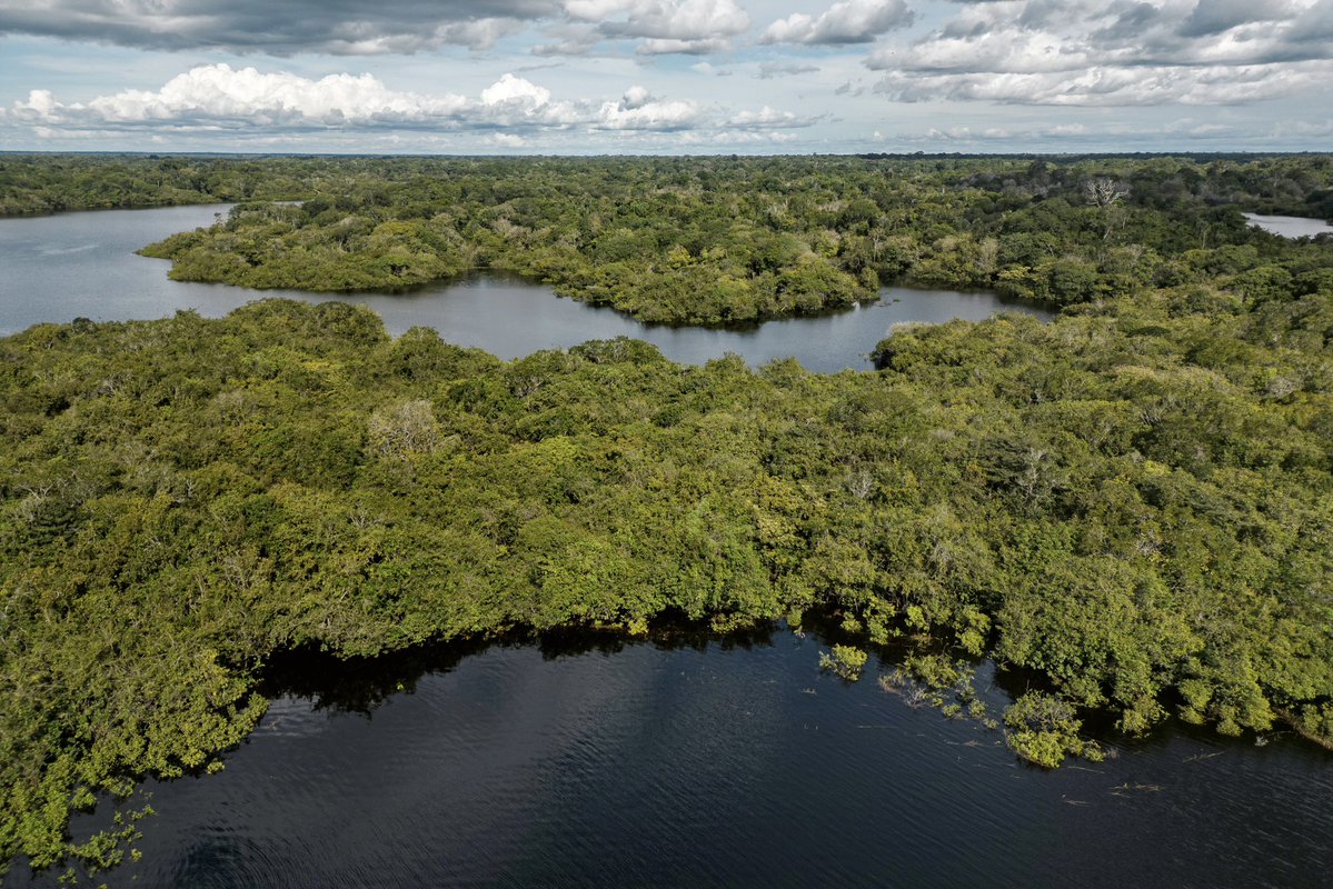 LVMH's tweet image. For COP30 in Belém and the 10th anniversary of the Paris Agreement, LVMH shares an overview of its environmental strategy LIFE 360, structured around four pillars: climate, biodiversity, circularity, and traceability.
 
Learn more: lvmh.com/en/news-lvmh/l…
 
#LVMH #COP30