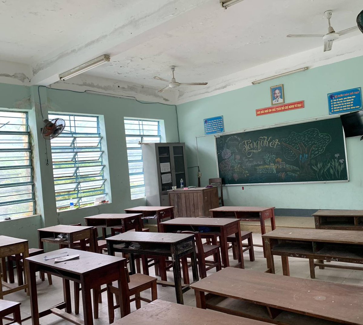 Tree Studios tweet media