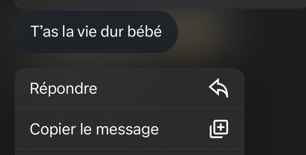 Princesse tweet media