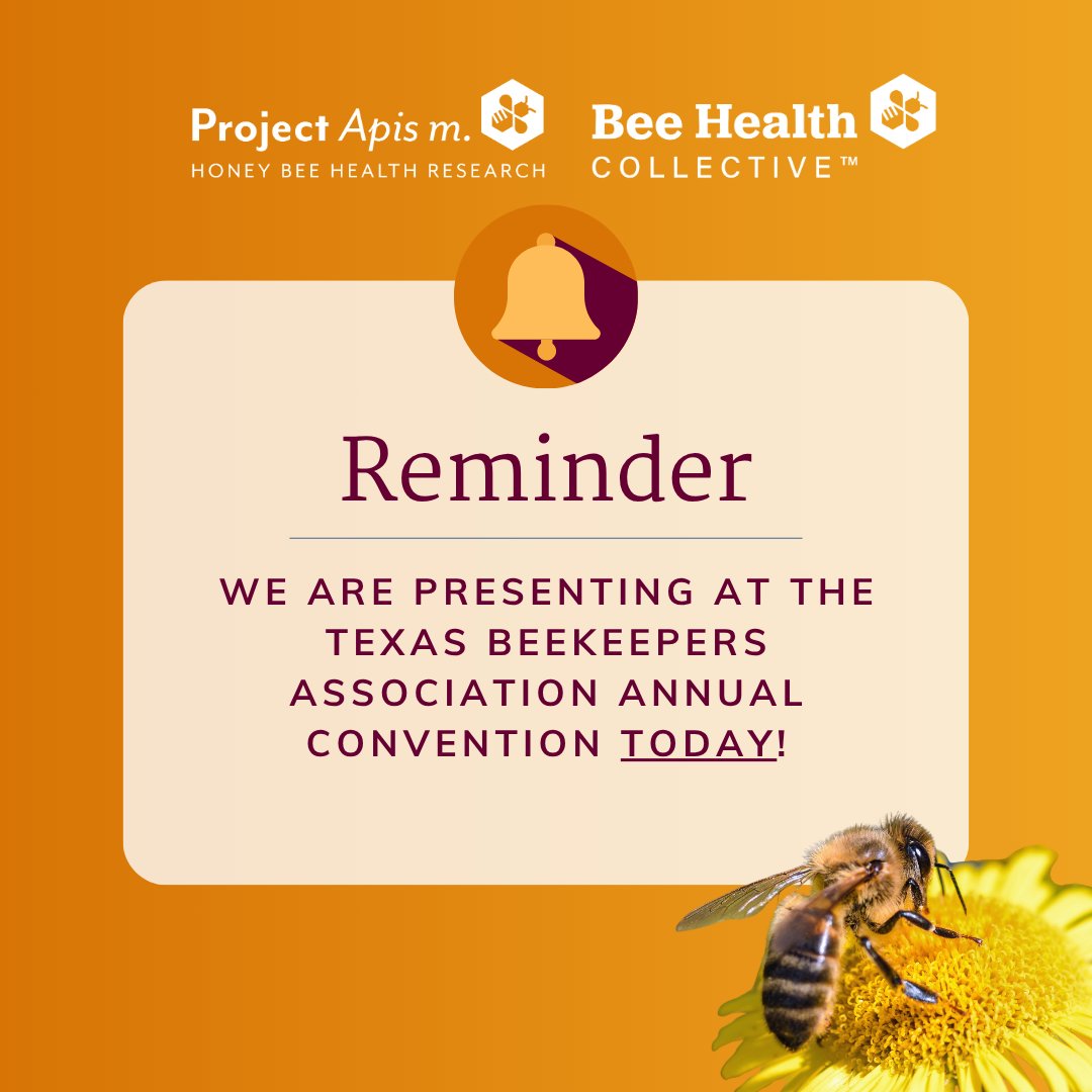 ProjectApism's tweet image. 🐝 We’re in Texas! Join PAm board member George Hansen at the TX Beekeepers Convention in Waco to learn how we advance honey bee health &amp;amp; beekeeper support.

🔗 texasbeekeepers.org/annual-convent…

#HoneyBeeHealth #Beekeepers #TBA2025