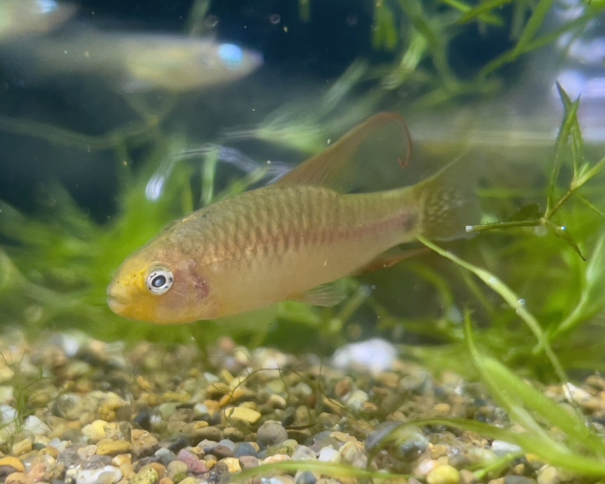 アクアライフ　まとめ売り アクアライフ 12月号 (発売日2022年11月11日) | 雑誌/電子書籍/定期