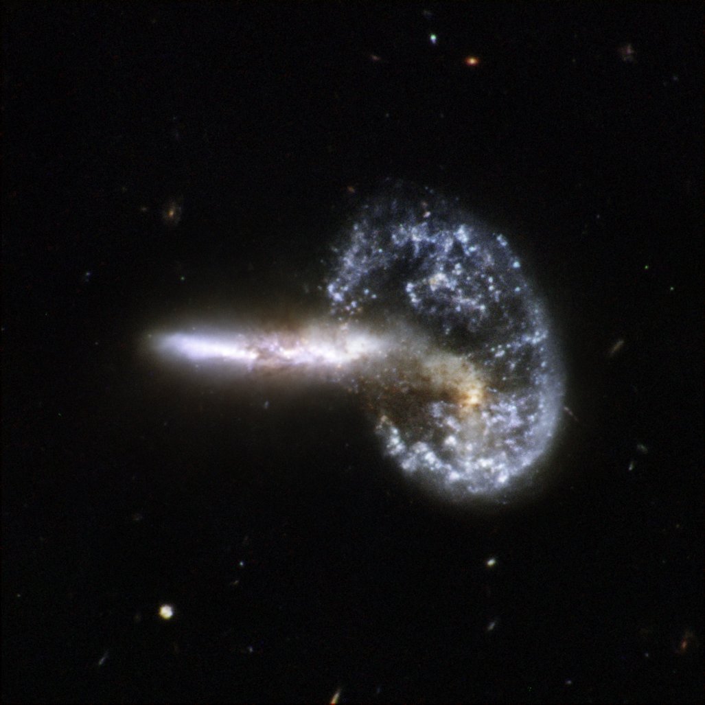 Hubble tweet media