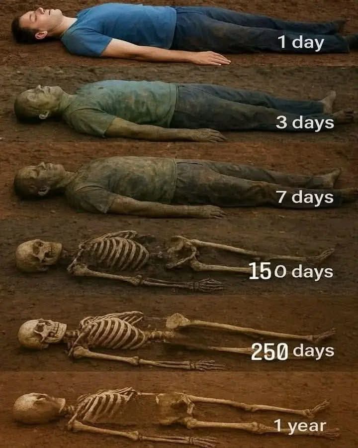 The story of life after leaving Earth's surface. 🚀🌌 

#Life #Space #Future #Exploration