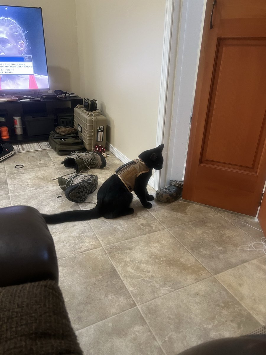 umbrellaman530 tweet media