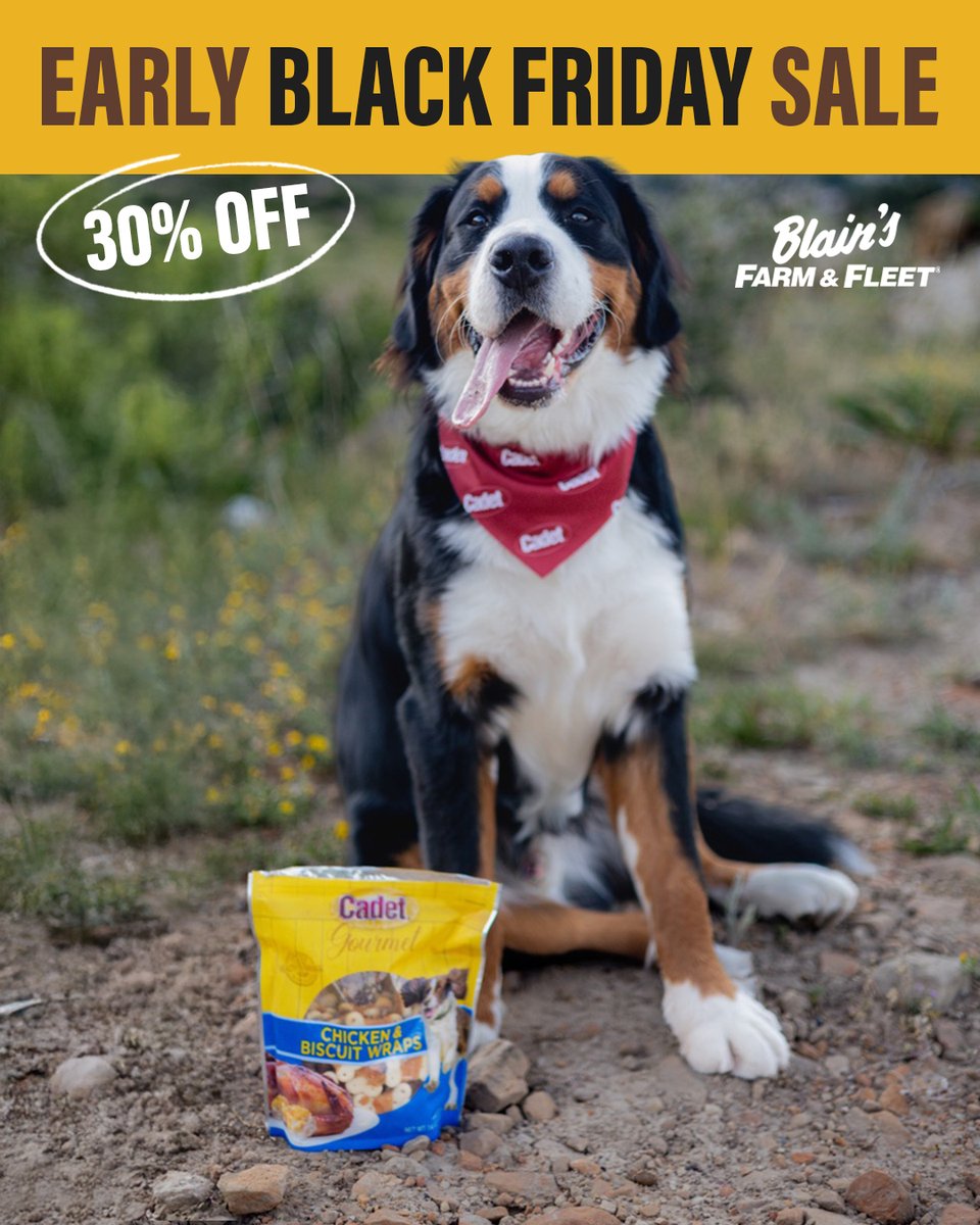 CadetPet's tweet image. 👀 Cadet deals are happening now at @FarmandFleet! Shop through 11/27. bit.ly/4oBDSLo

#CadetPet #dogsinnature #happydog #blainsfarmandfleet #earlyblackfriday