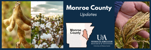 Dustin North tweet media