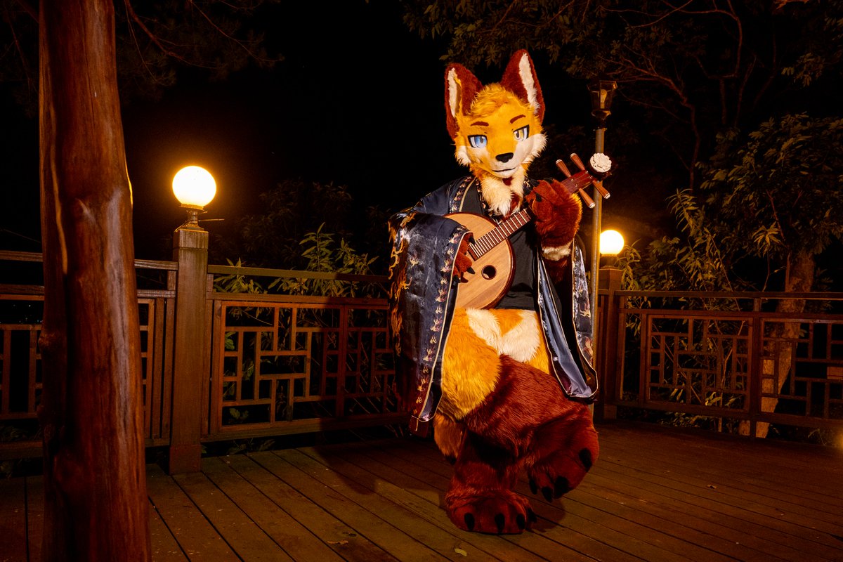 Raywolf_the_Fox's tweet image. 「偶聞山中琴聲，循聲入林，乃一狐者月下獨奏。琴聲幽幽，弦音繚繞，時若清泉，時若薰風。忽見來者，以中阮遮面故做嬌羞，林中樂音迴響，秋月皎潔。是謂：阮月嬌。」

📷： @Turquobitbit 
#FursuitFriday