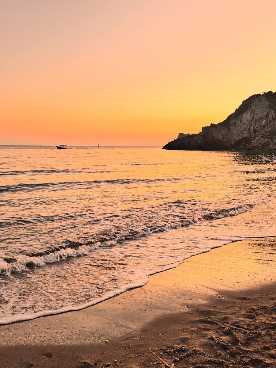 Lütfiye Nar tweet media