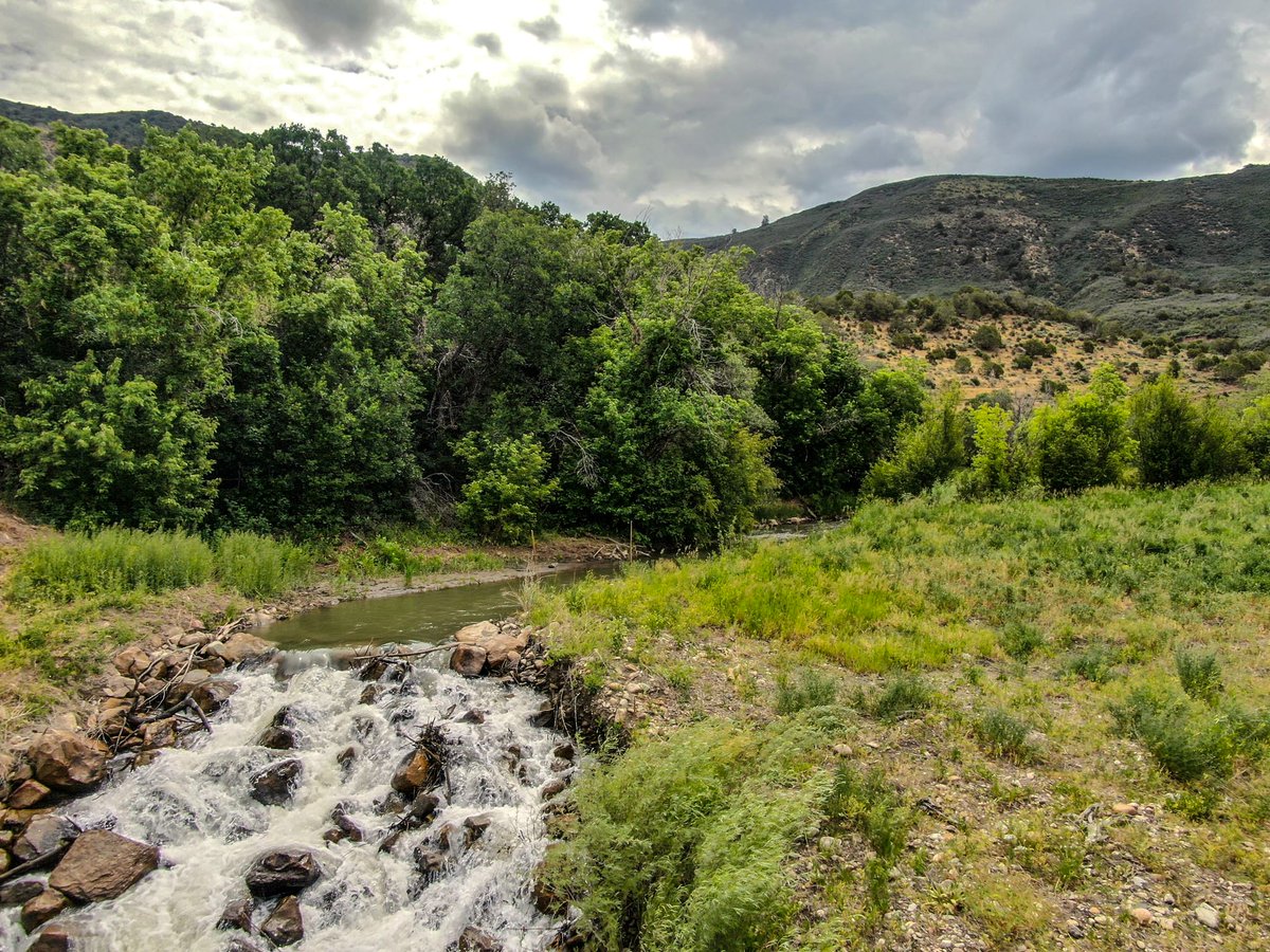 landreport's tweet photo. Painted Mountain Ranch
Colorado |  160 Acres | $4,495,000

Outside Paonia with an off-grid log home, guest cabin, and access to thousands of acres of public land. A private Colorado retreat built for water, wildlife, and mountain living.

https://t.co/qfG33mb86G https://t.co/QlWZ2VujLm