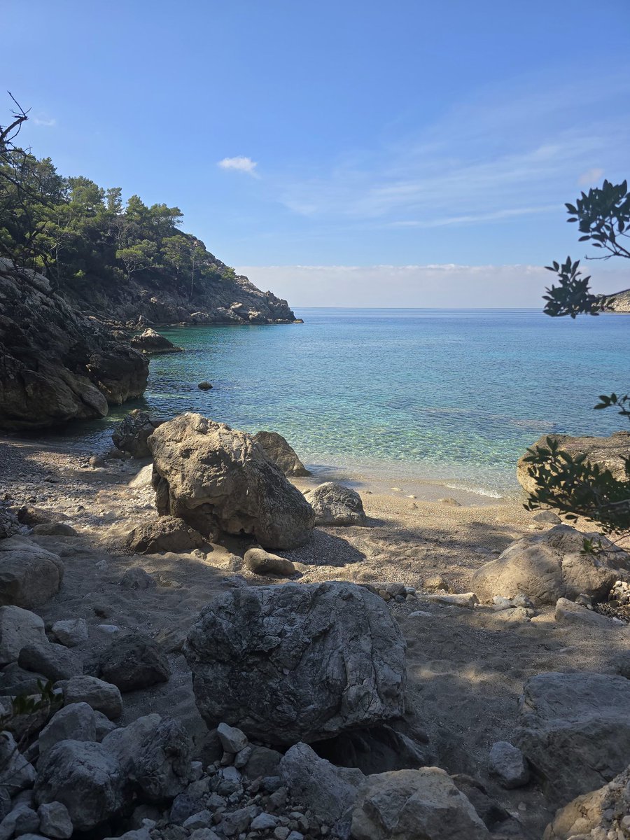 anaamshi's tweet image. I dont need much