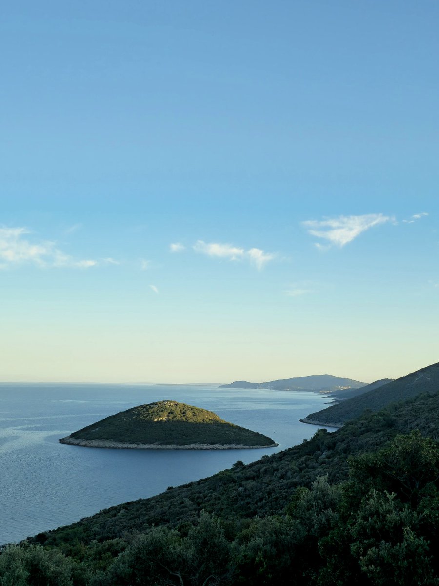 anaamshi's tweet image. I dont need much