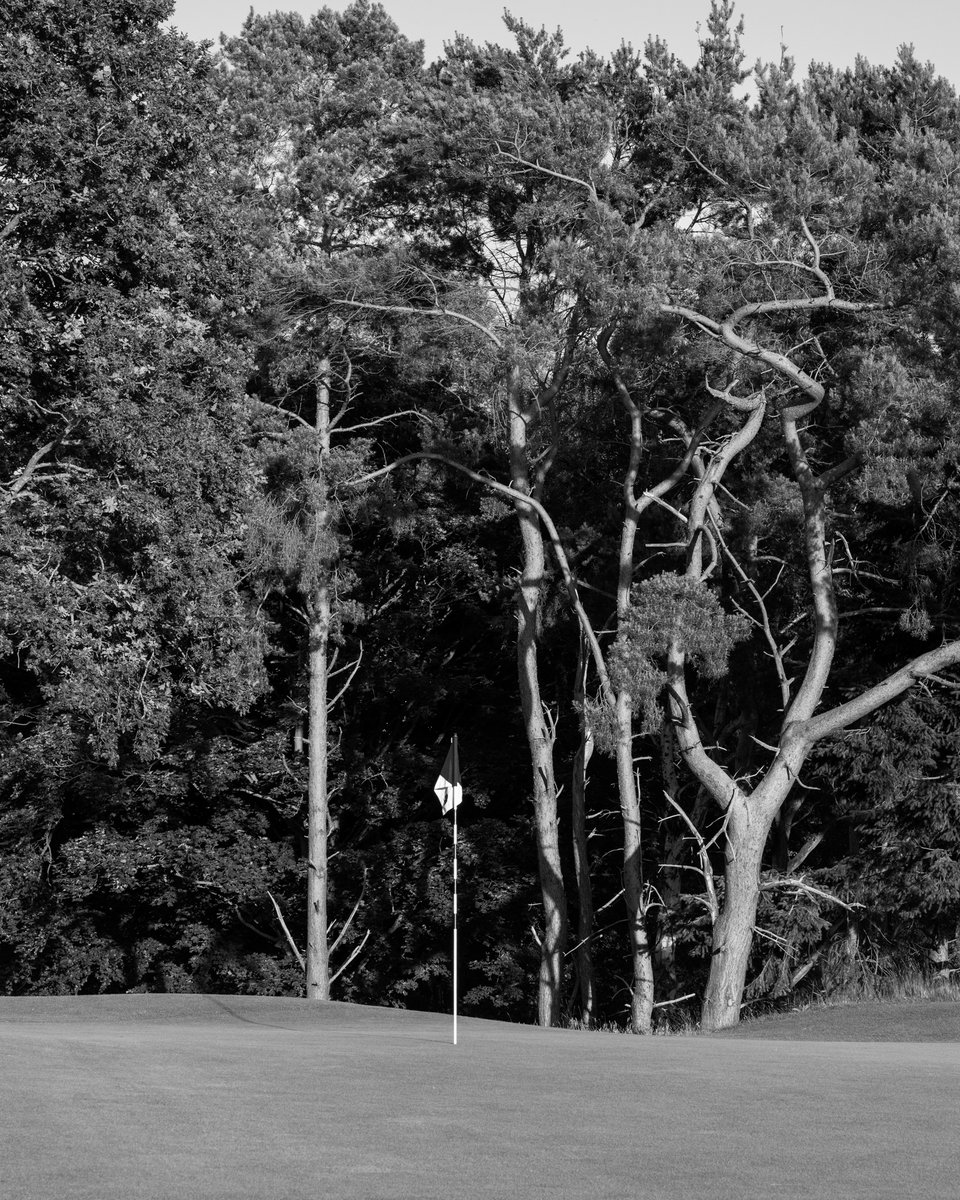 Ongoing course development is helping to restore our heathland character, including tree management to help get the course back to how it was designed.