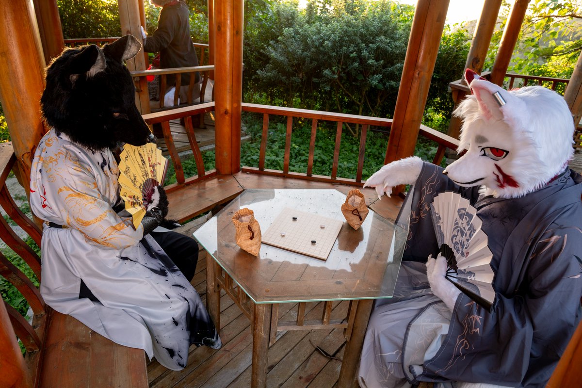MesonaYi's tweet image. 黑白爭鋒。  

合影：冬蝕
攝影：@Turquobitbit
#FursuitFriday