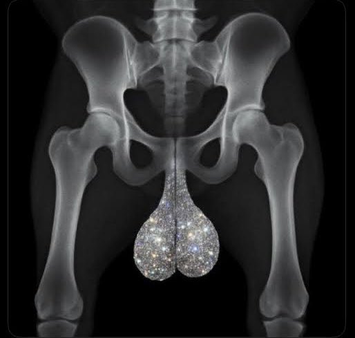 Hørus𓅃 tweet media