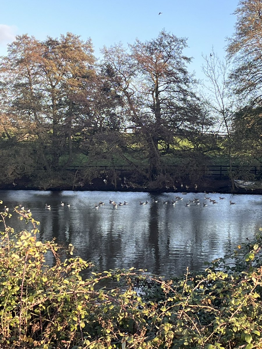 Countryside being countryside 

How do we make people realise it’s amazing and not improved with concrete?
<a href="/SteveReedMP/">Steve Reed</a>