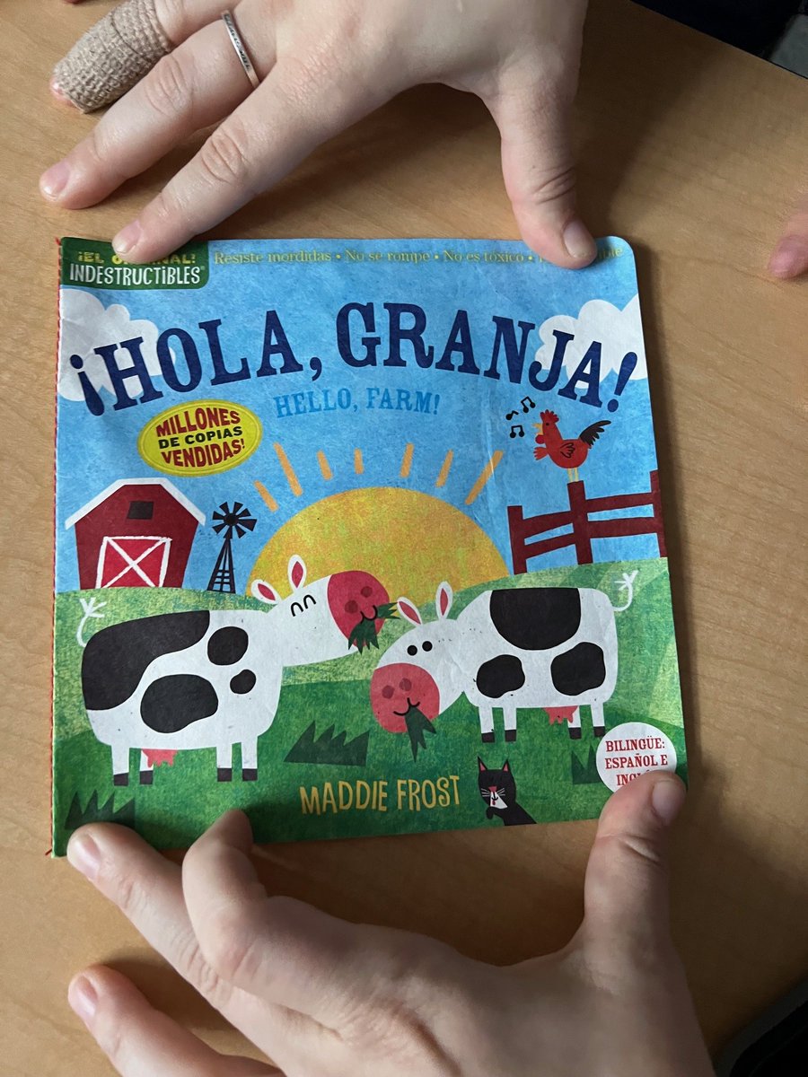 Mary Beth Fleming tweet media