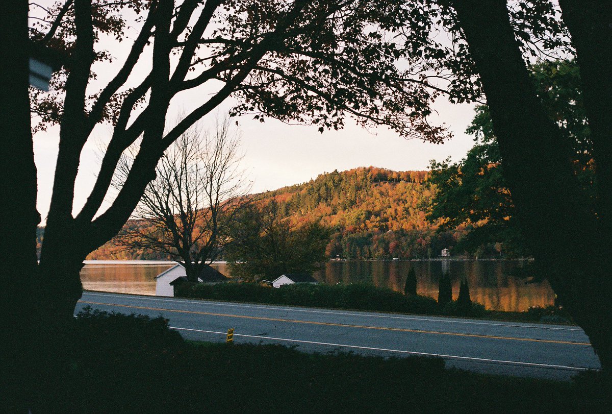 _muddypaws_'s tweet image. 