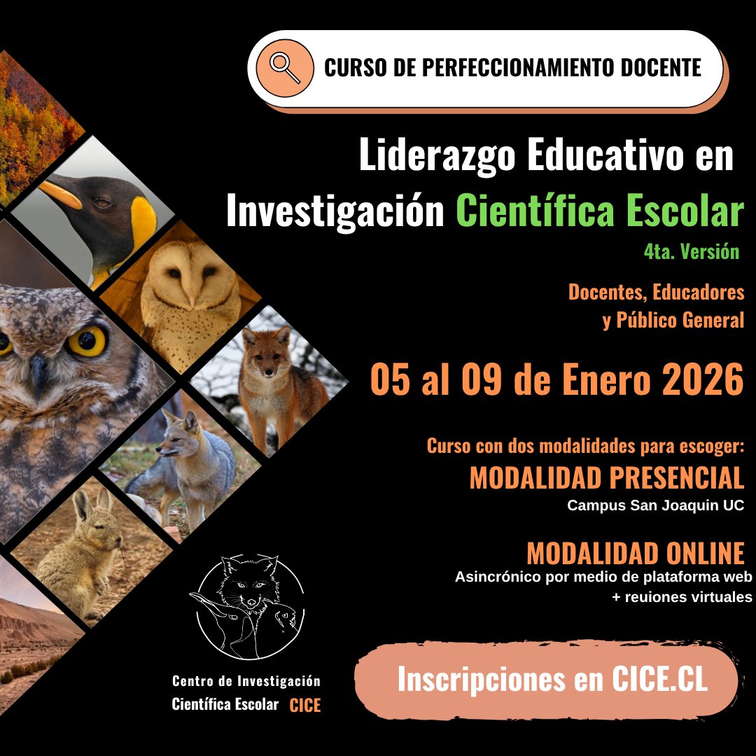 📢 Tenemos convocatoria abierta para profesores: Curso Liderazgo Educativo en Investigación Científica Escolar de <a href="/cice_cl/">Centro de Investigación Científica Escolar</a>, del 5 al 9 enero 2026. Presencial u online.
Informaciones e inscripciones en la web 👇
cice.cl/liderazgoeduca…
#CICE #CursoDocente