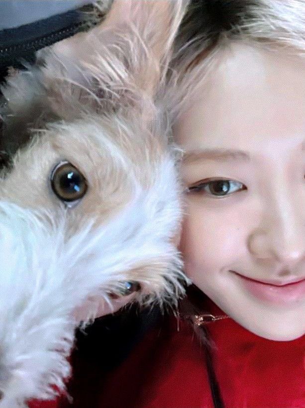 _KotChaKorN_'s tweet image. ม๋าวัดกับม๋าเด้น