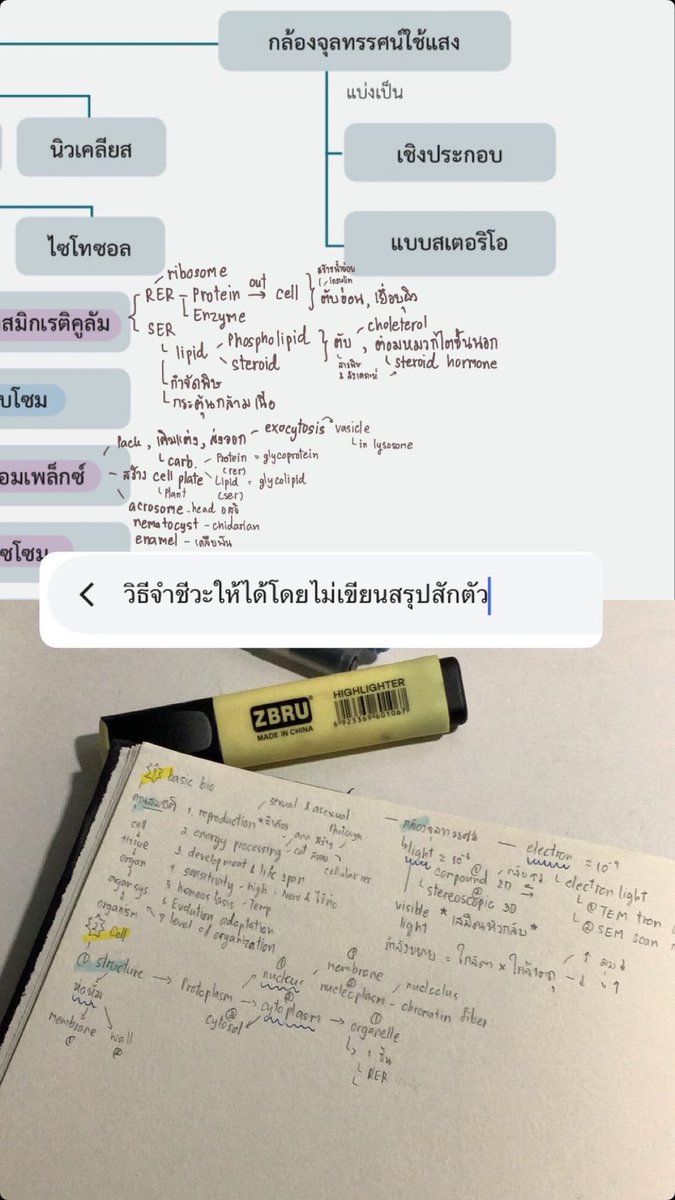 +82 SN' เรียนพิเศษ notion @ line tweet media