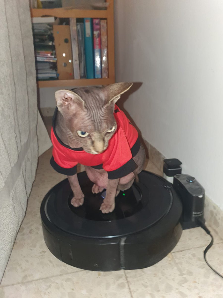 ShnizelInBag's tweet image. יודה לפני 5 שנים