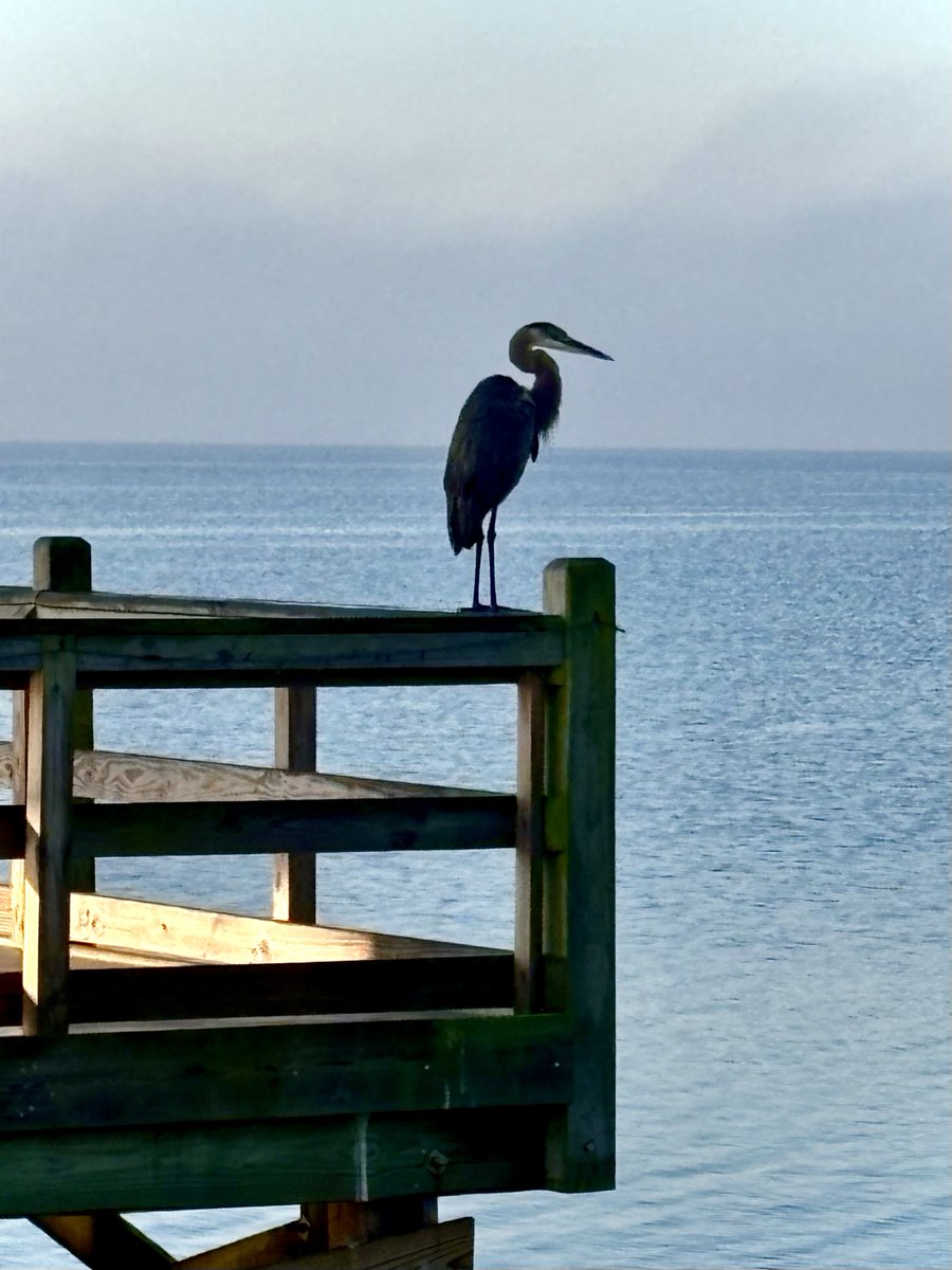 ⁦<a href="/spann/">James Spann</a>⁩ Thursday morning at Pointe Clear