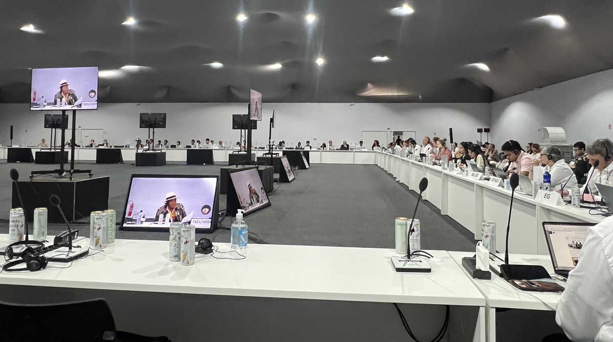 Mirashe_A's tweet image. #COP30 LMDC calls for balanced funding under Article 6.8. Non-market approaches are not optional;they’re essential for equity, resilience, and real climate action.
Markets get resources - 6.8 gets promises.
Time to fix the imbalance &amp;amp; funds developing countries  need @ClimateBlue