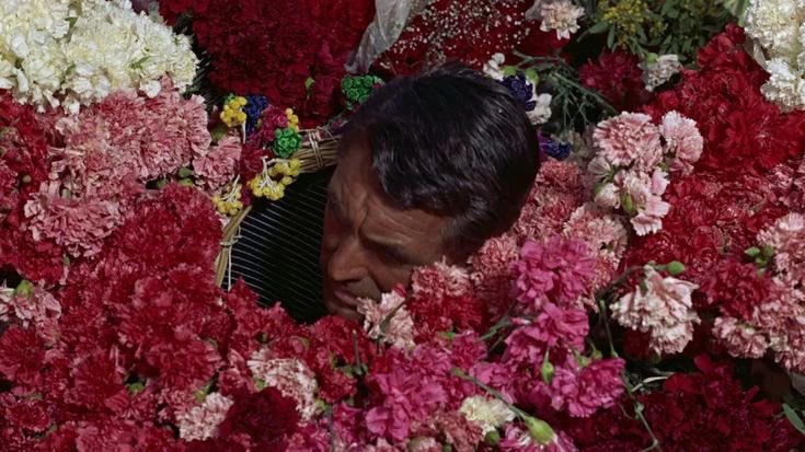 titleposting's tweet image. I love when movies have a flower market moment