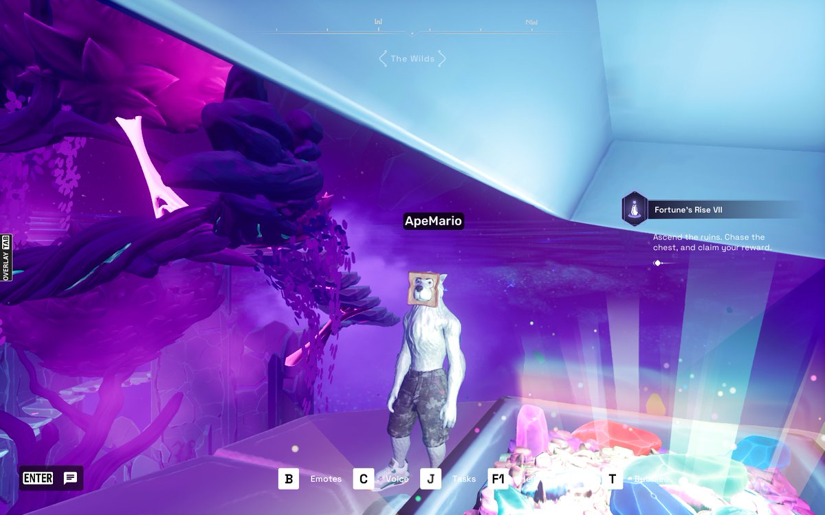 NFTMario.eth 🇩🇪🦍 tweet media