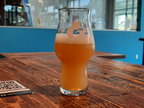 Our Daily Pour: Cloud Candy New England IPA (4.25) from Mighty Squirrel Brewing Co. in Waltham, MA.
