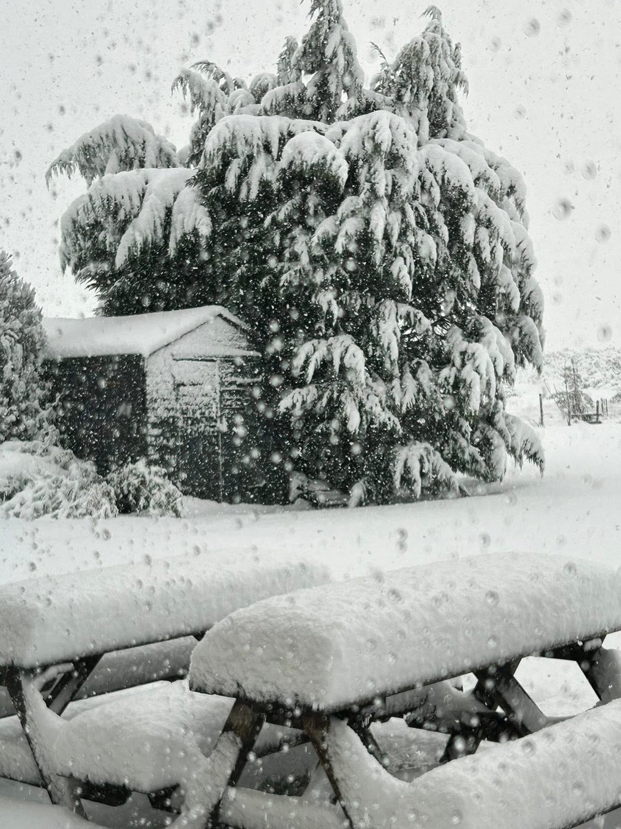 StormchaserUKEU's tweet image. Very deep snow accumulations on the North York Moors, UK this afternoon… #Severeweather #UKsnow #UKweather 

Photos: Ugthorpe lodge