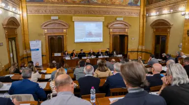 WWFitalia's tweet image. L’Italia accelera sul Piano d’Azione Regionale
@UN_FAO_GFCM –CGPM per la piccola pesca #SSF   

Oggi al @SocialMasaf  con ACI, istituzioni, cooperative, AMP, ricerca e ONG abbiamo chiesto incontri mirati per garantire un futuro a questo settore chiave 👇 bit.ly/3JLqYvr