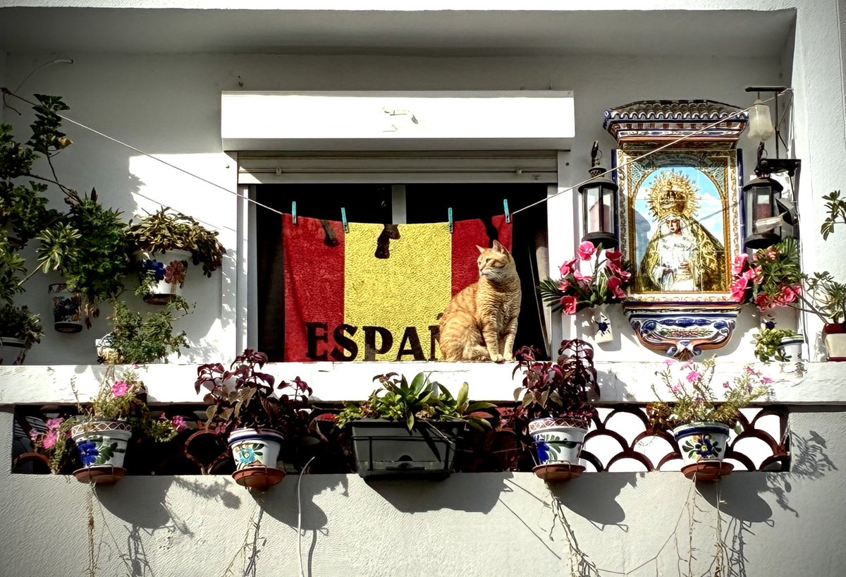 Balcón en Dénia (Alicante) 📷Propia.
