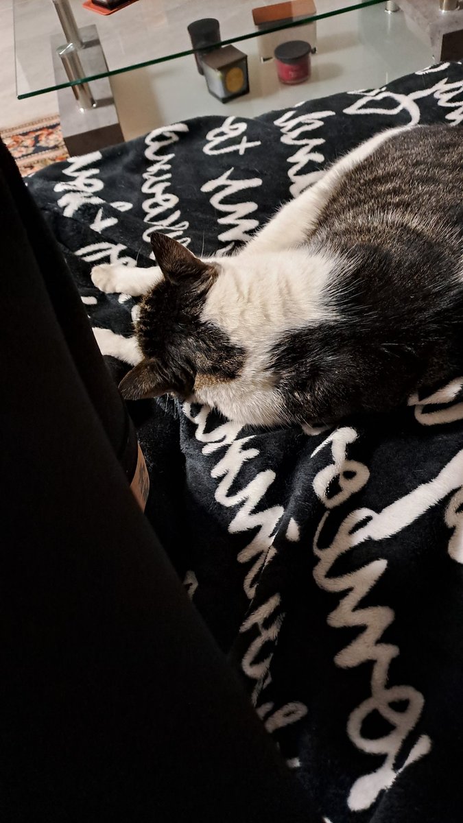 Wanda1569's tweet image. 😻