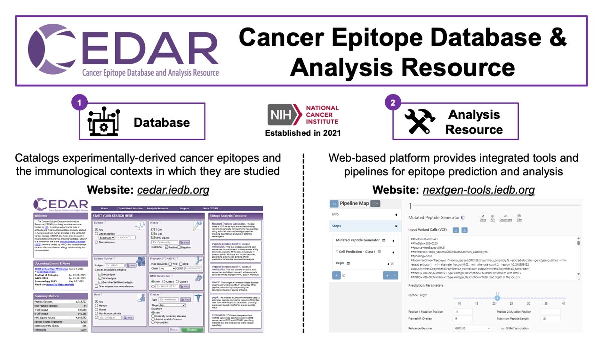 iedb_'s tweet image. The third and final day of the 2025 IEDB User Workshop has kicked off! Today we discuss specialized resources, the first being @CEDAR_epitopes! @SetteLab provided a brief overview, followed by Dr. Matthew Busse, Senior Curator, who discussed the CEDAR curation process #iedbuw2025