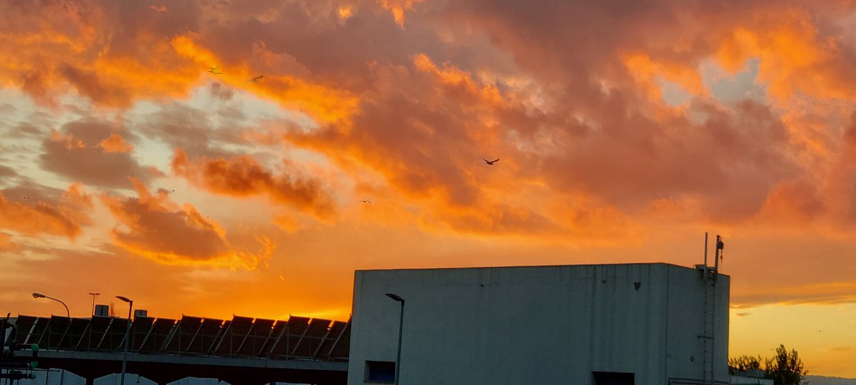 Hora de plegar 😍 #ZF 
Natarda 😘😘