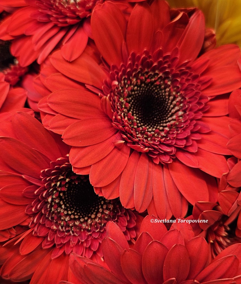 LanaToro21's tweet image. #Photobyme📷 #MyThoughts

Remember:
We are here to love. Those who don&apos;t love others, don&apos;t love themselves. Forgive them in your mind.

An open and forgiving heart has the power to heal ❤️