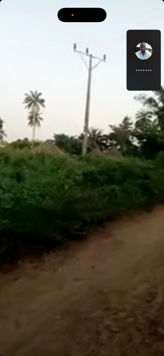 GeorgeOha34227's tweet image. An intelligence agent that  I have on ground has uncovered another herdsmen hideout. This time, I’ll reveal it because of what happened today. The hideout is in Ajebo Obafemi Awolowo LGA, Ogun State and the’re fully armed and will strike anytime soon.  Yoruba land is also not…