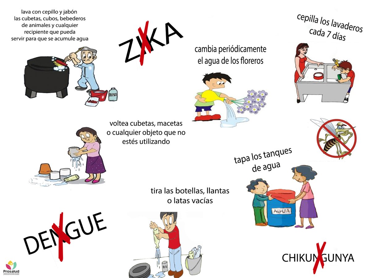 👉El chikunguña, el dengue y el zika se transmiten por la picadura de los mosquitos🦟 Aedes aegypti y Aedes albopictus.
La hembra del mosquito es la que transmite el virus.
Estos mosquitos viven dentro y alrededor de nuestras viviendas.
🔗facebook.com/Cubaupp