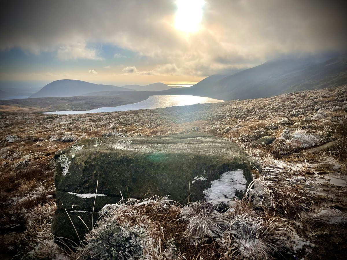 ACVDW's tweet image. ❄️