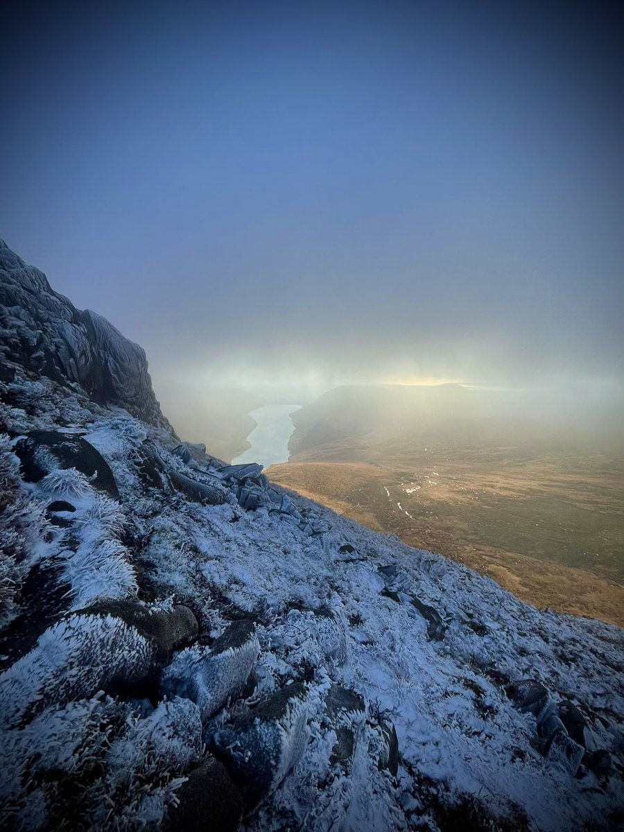 ACVDW's tweet image. ❄️