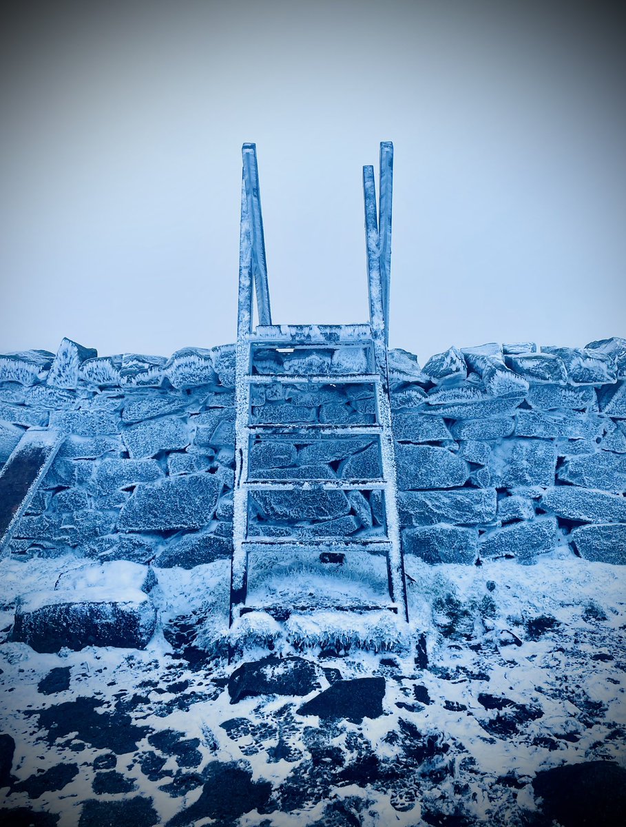 ACVDW's tweet image. ❄️