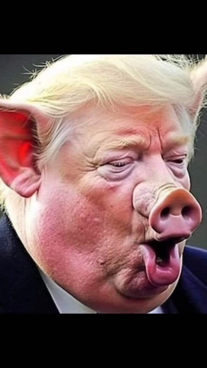 it's not about you today you fat piggy! #realDonaldTrump #DonaldTrump #trump #dickcheney #cheney