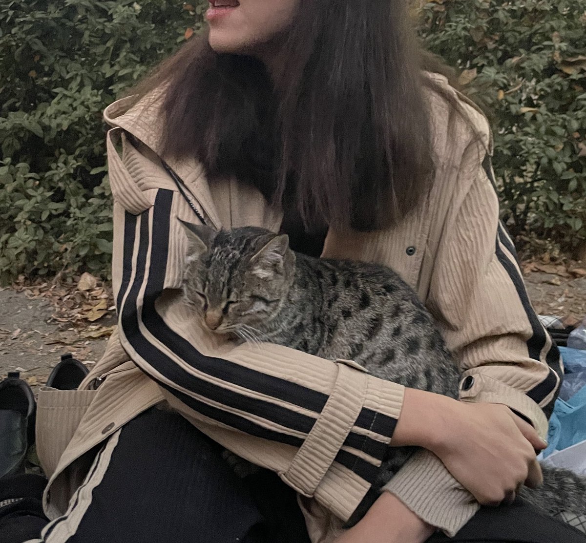 _sigynn_'s tweet image. من و گربه رندوم تو پارک که وابسته ش شدم.