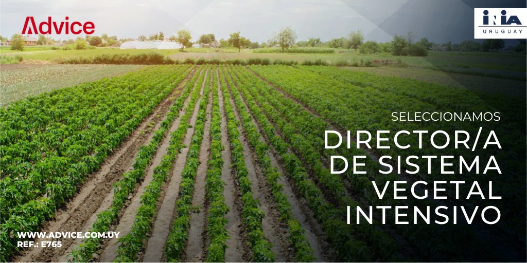 Seleccionamos para INIA personas con formación a nivel de Maestría en áreas vinculadas al sistema correspondiente, o trayectoria profesional equivalente. 

Se requiere una sólida trayectoria académica y científica, así como experiencia consolidada y comprobable en el liderazgo y