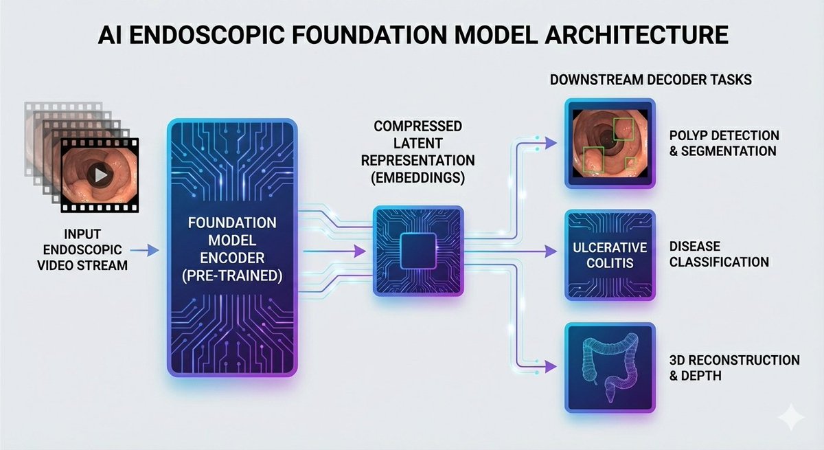 matt_is_nice's tweet image. Ok Nano Banana Pro is the most impressive AI that I&apos;ve used 🍌🍌🍌

Ever since we launched our EndoDINO foundation model for endoscopy, I&apos;ve been asking different AI models to help generate an infographic that explains how a self-supervised encoder model works and why it will be…