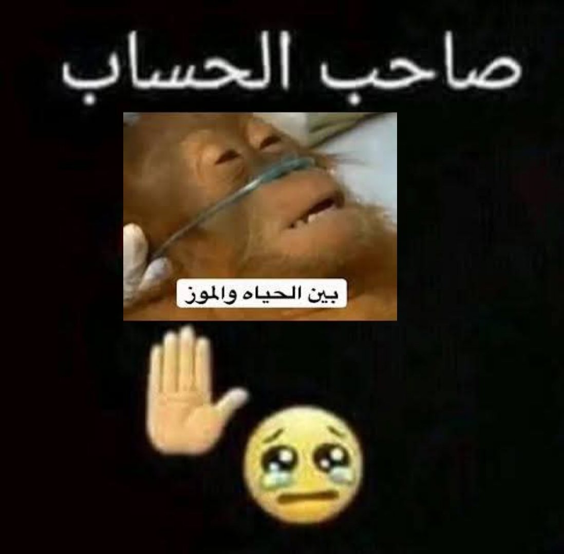 mskibdi's tweet photo. لسه فايق من الصبح وشكلي هدخل في غيبوبه تاني (انا تعبان عبد الرحيم) https://t.co/SByZ2aFzcE