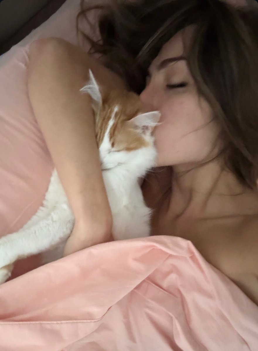 fckdov's tweet image. nunca quis tanto ser um gato