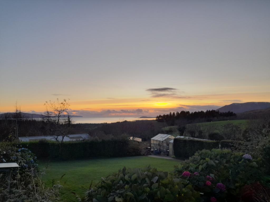 ite wiersema tweet media